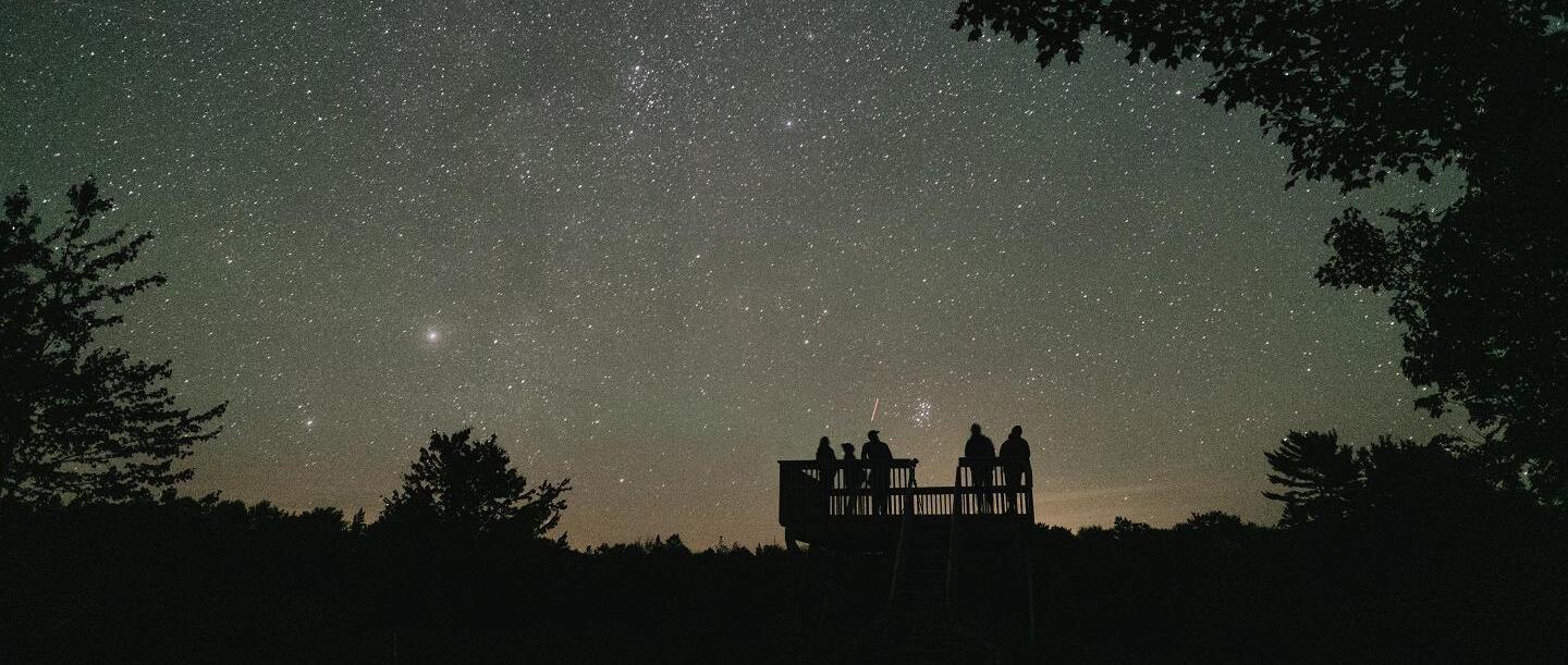 people looking at the night sky