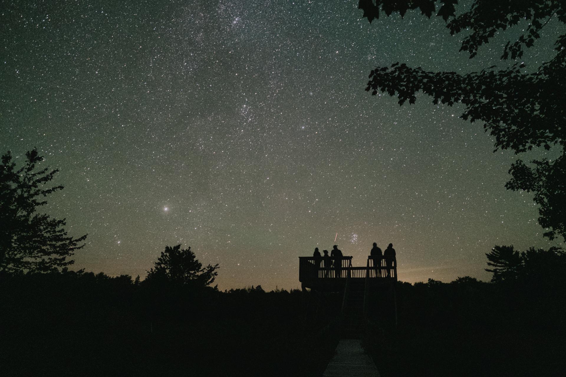A viewing platform beneath a clear, star-filled night sky surrounded by trees