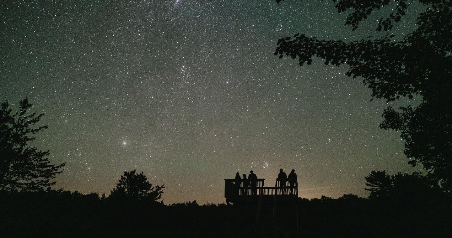 -	Un groupe de personnes contemple les étoiles